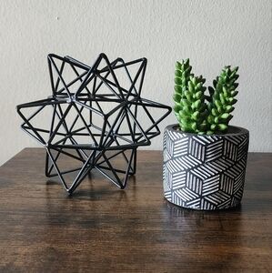 Hobby Lobby Succulent Plant and Metal Geometric Star table decor